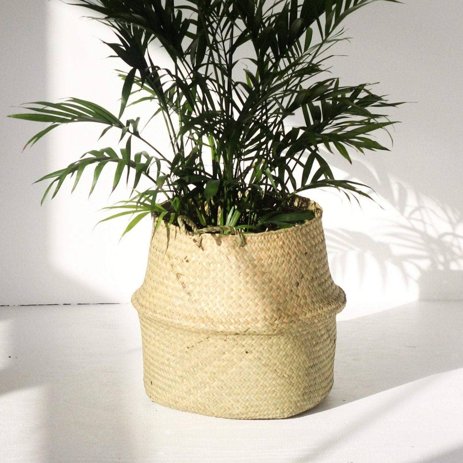 Woven Seagrass Belly Basket/Planter | 15.5"