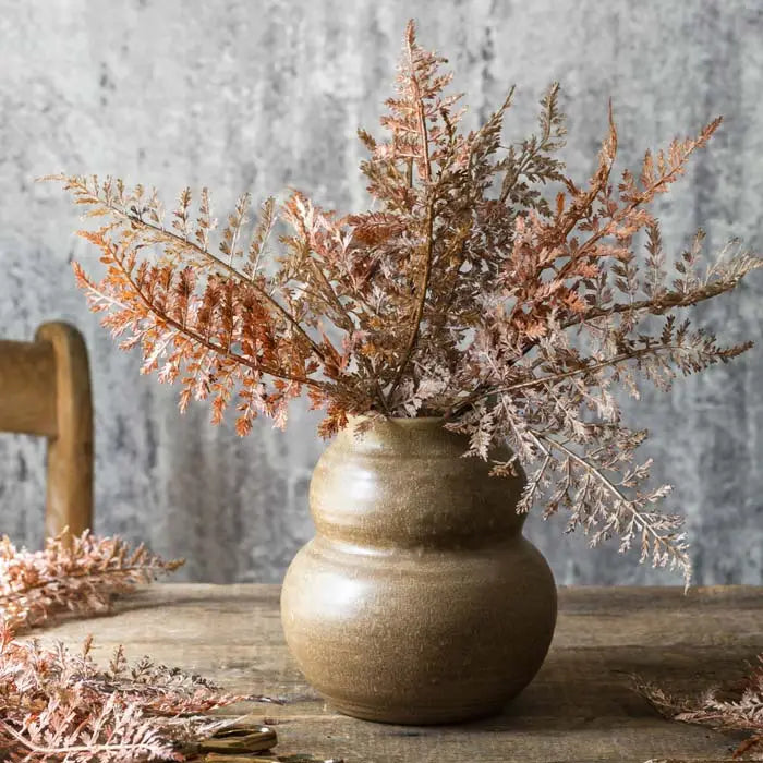 Rust Fern Bush