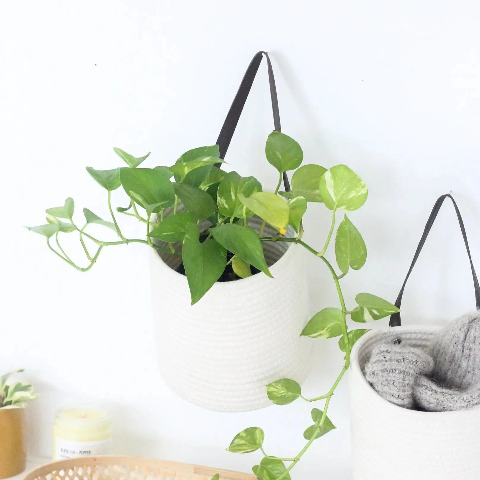 Hanging Storage White Cotton Rope Wall Basket | 7"