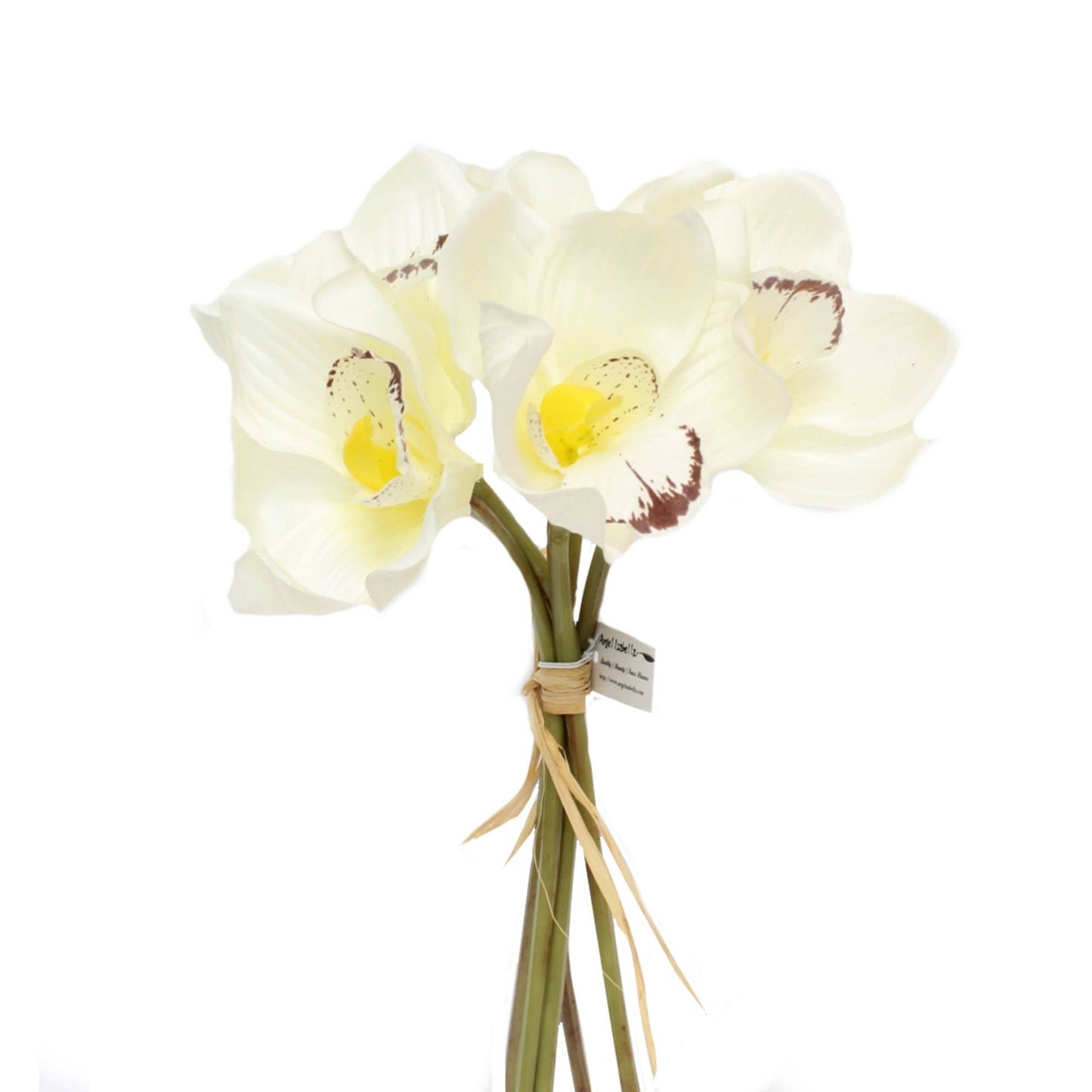 Load image into Gallery viewer, Cymbidium Orchid Bundle
