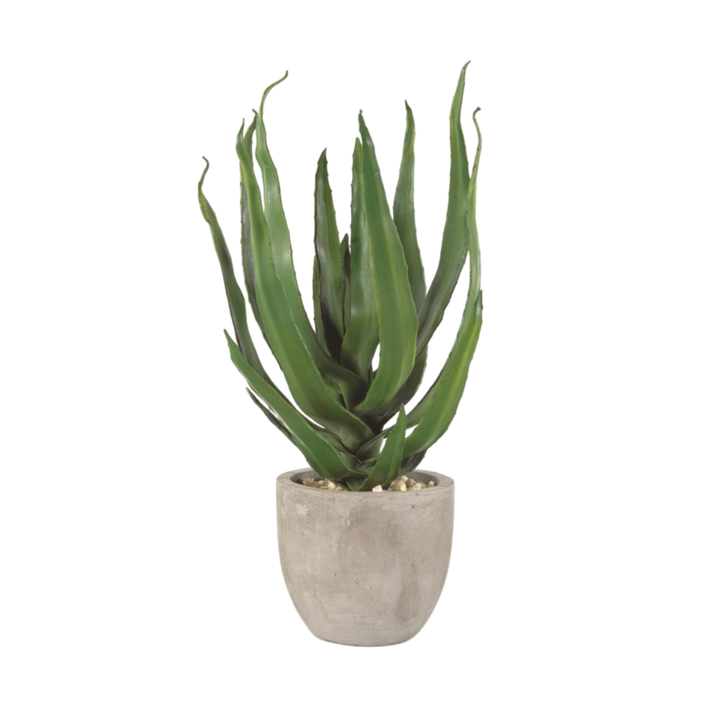 Load image into Gallery viewer, Aloe In Concrete

