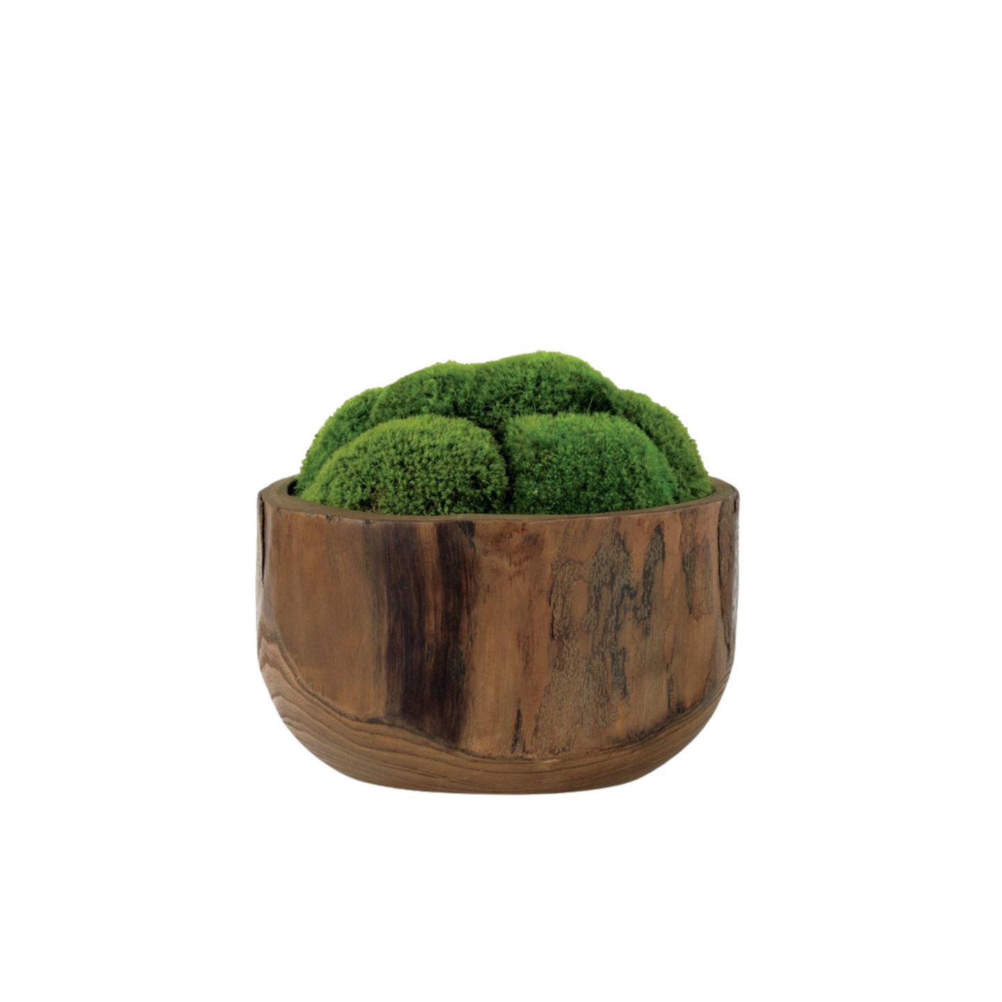 Round Wooden Bowl of Mood Moss