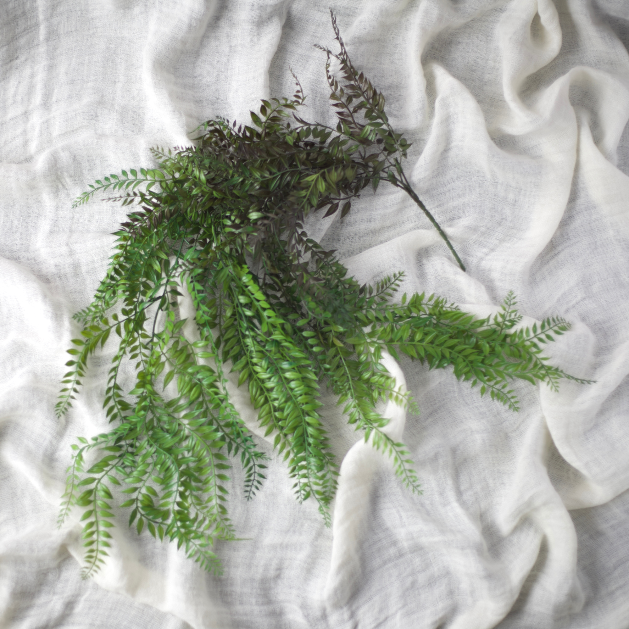 Hanging Needle Fern Spray