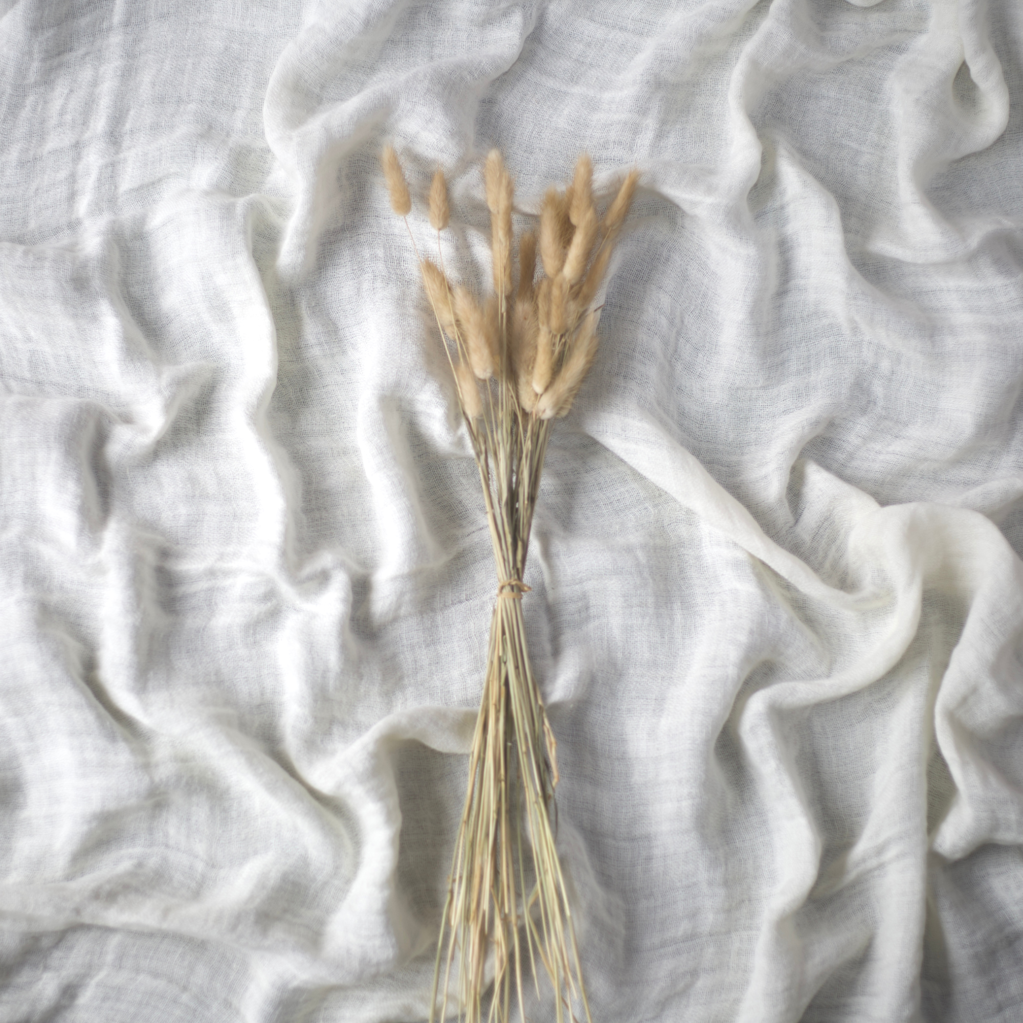 Bunny Tails
