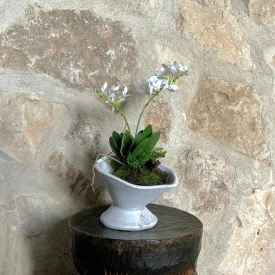Mini Dendrobium With Rustic Drop-In