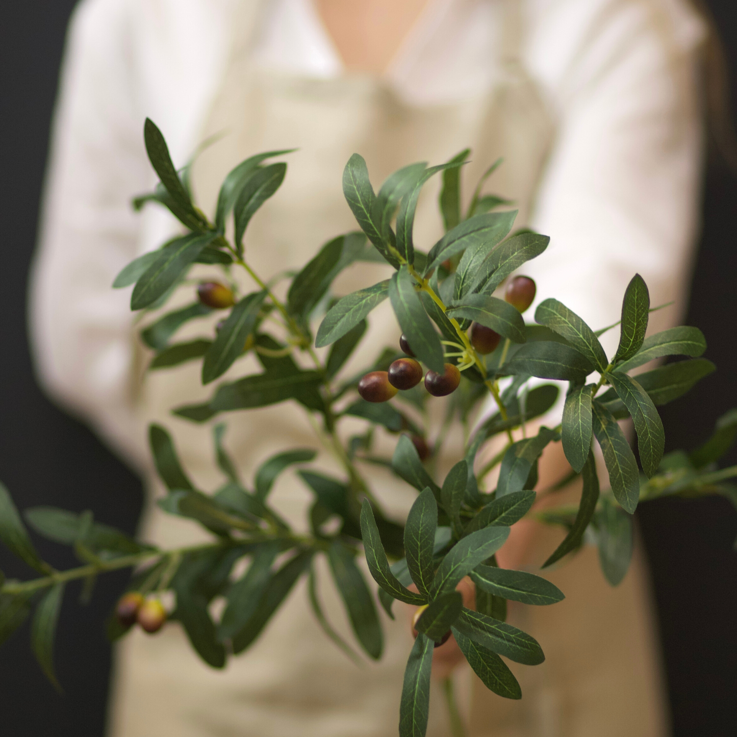 Green Olive Branch with Olives