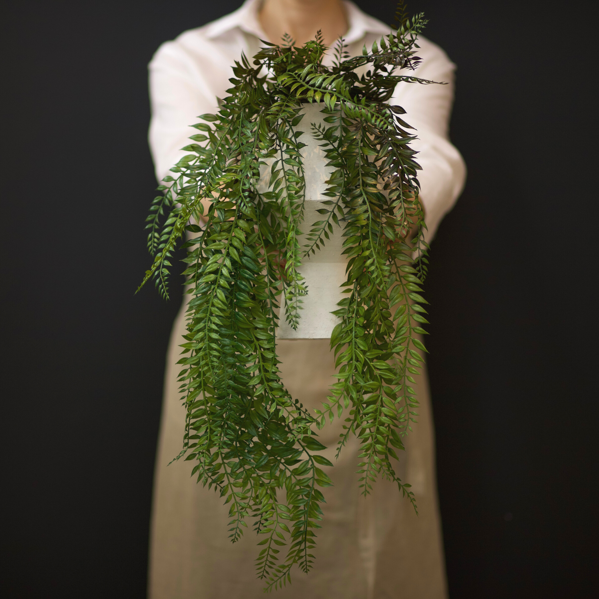 Hanging Needle Fern Spray