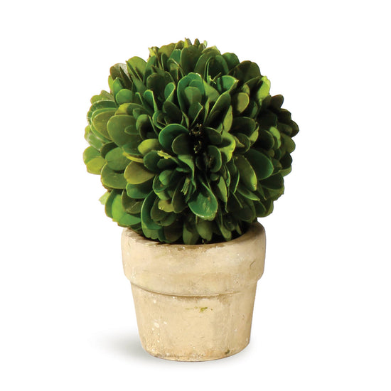 Load image into Gallery viewer, Boxwood Mini Ball In Pot
