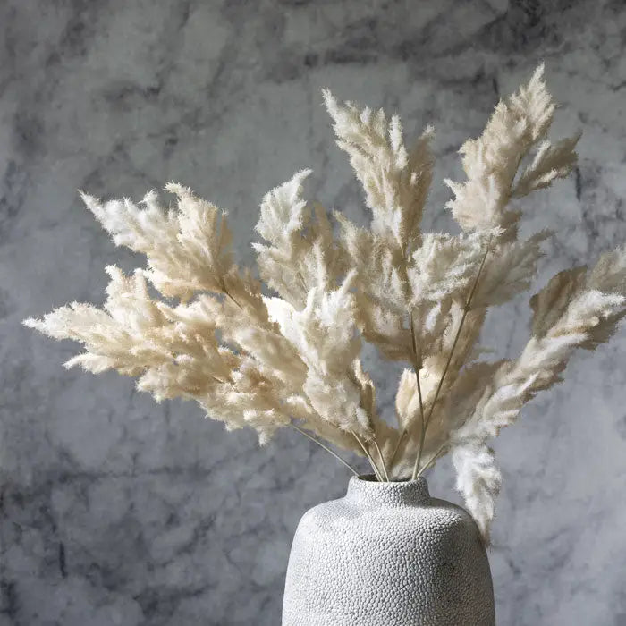 Fern Stem | Cream