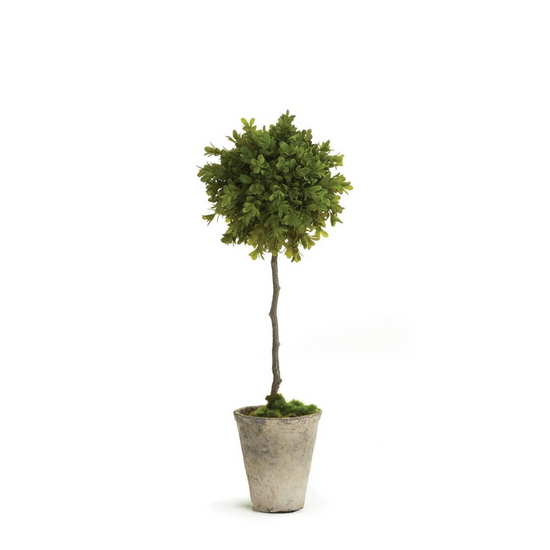 Barclay Butera Faux Boxwood Topiary Potted