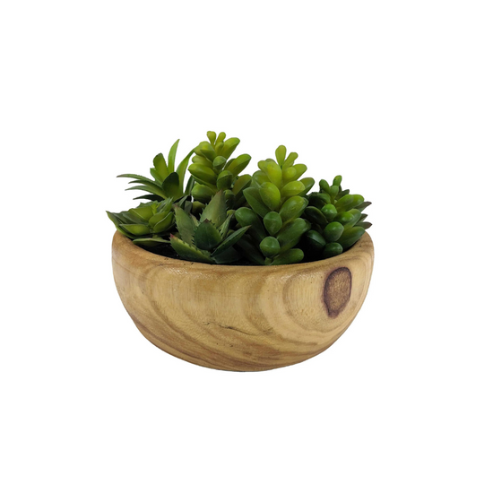 Faux Succulents in Yellow Wooden Pot