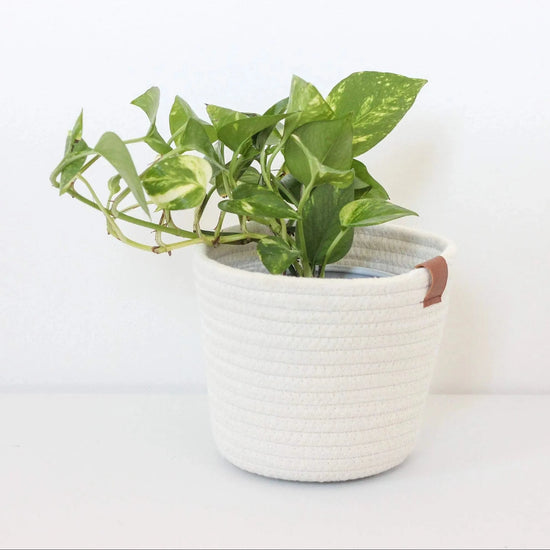 White Cotton Rope Craft/Plant  Basket With Leather Accent | 5"