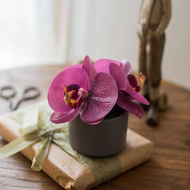 Real Touch Potted Orchid | Purple