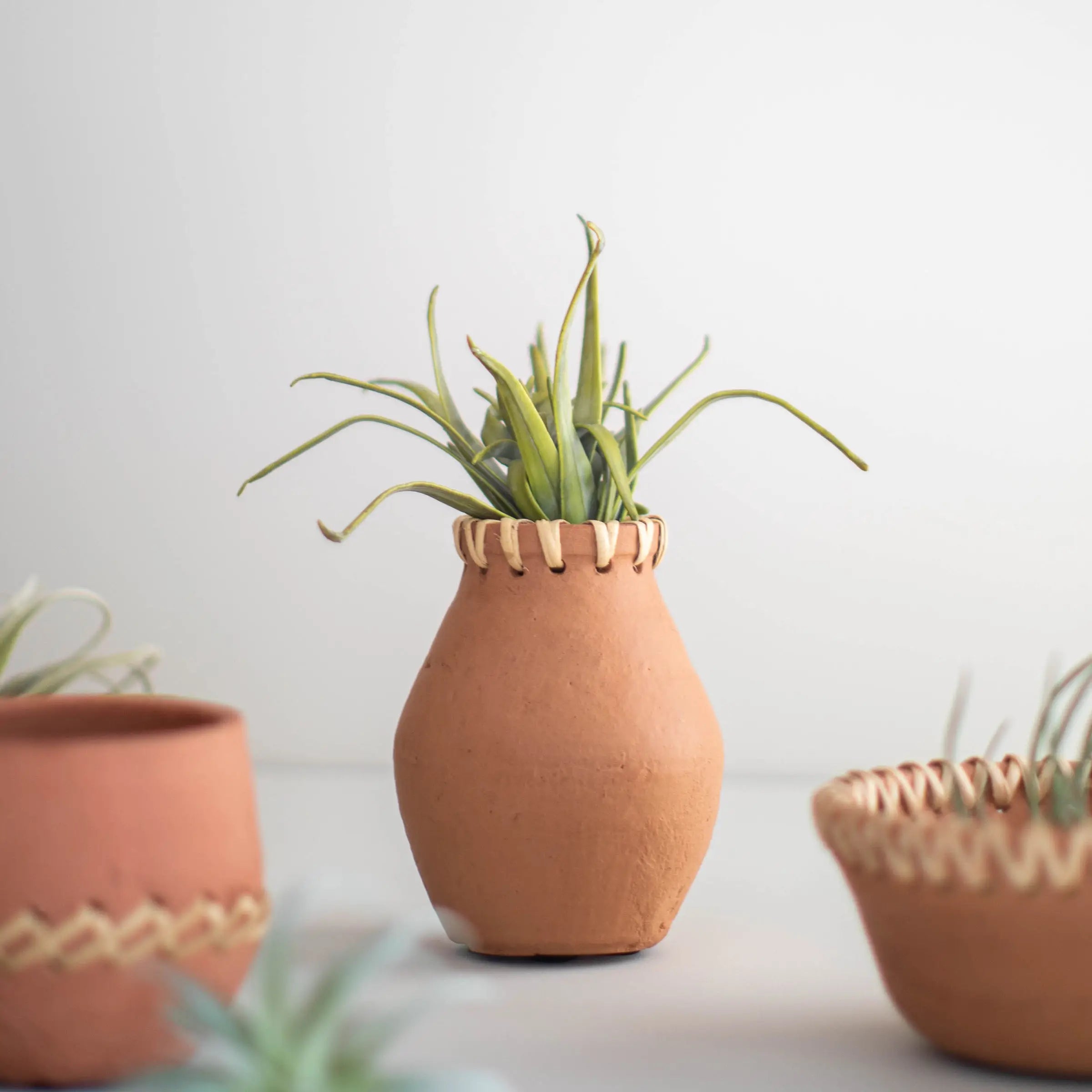 Mesa Terracotta Vase