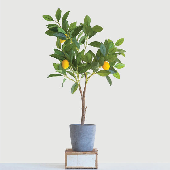 Lemon Tree In Cement Pot | Faux