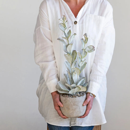 Load image into Gallery viewer, Faux Succulent In Cement Pot

