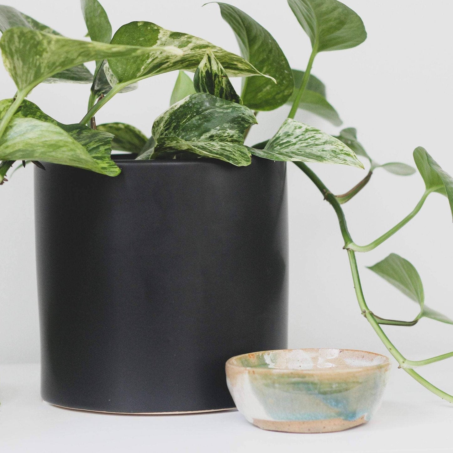 Matte Black Ceramic Cylinder Planter | 6.5"