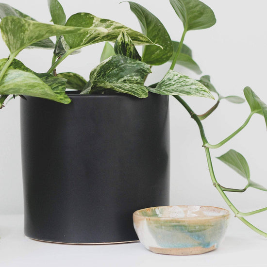 Load image into Gallery viewer, Matte Black Ceramic Cylinder Planter | 6.5&amp;quot;
