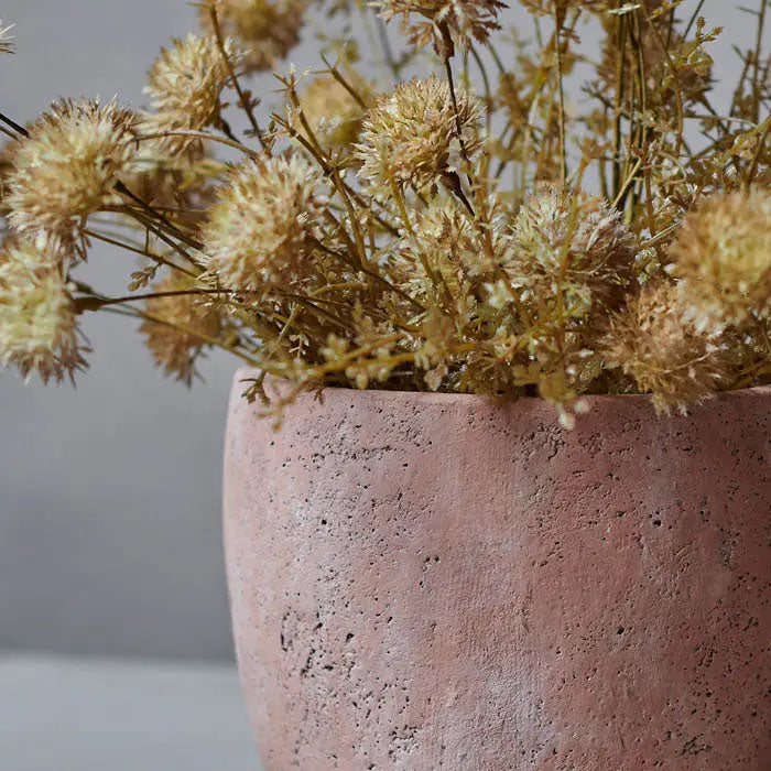 Melaleuca Flaxen Stem