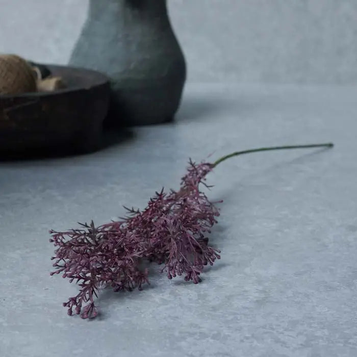 Meadow Grass Stem | Plum