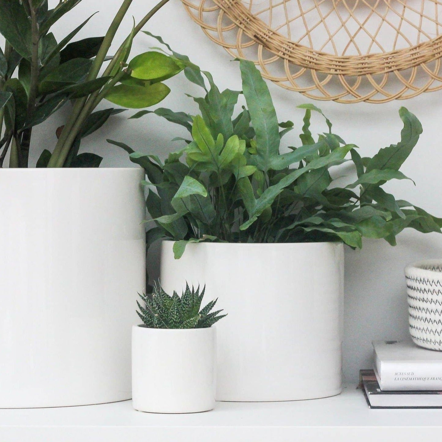 Glossy White Ceramic Plant Pot | 7"